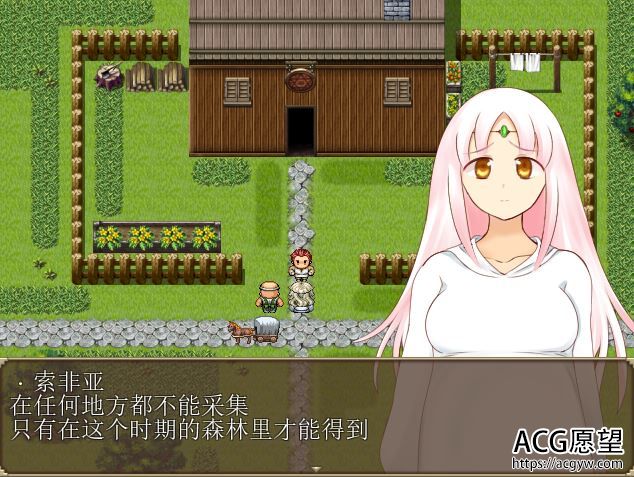 【RPG】妖精之奇迹般幻想精翻汉化修复版+礼包码