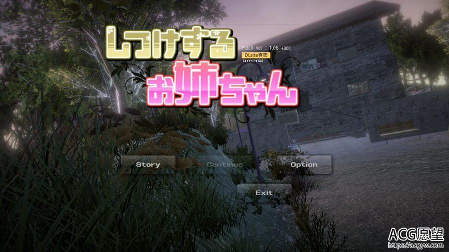 【SLG】姐姐的训练.V1.06DL官方中文制品版