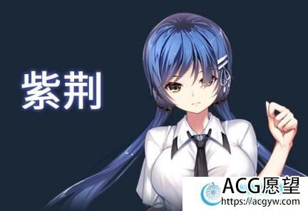 斗地主少女 v1.2.0.1 STEAM官中步兵版【全CV/3G】 【SLG游戏】 【神奇SLG/中文/全动态】