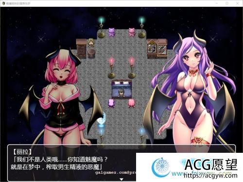 魅魔姐妹的地狱梦V1.01 巴比伦汉化版【pc+安卓】【800M/新汉化】 【RPG游戏】 【RPG/汉化/双版本】