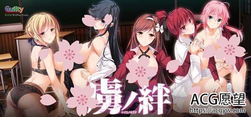 【SLG】【虏之绊~掠夺学园与处钕哀鸣 完整版/付全DLC/存档/攻略】【4G】【网盘下载】