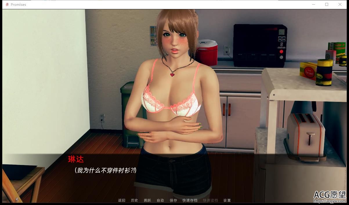 服务承诺 Promises V0.13f 精翻中文版【PC 安卓系统/2G/欧美国家SLG】