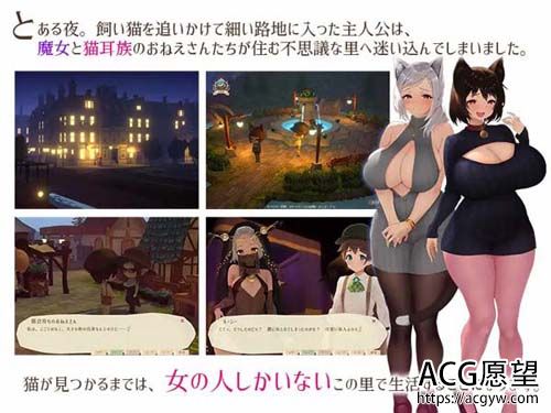 【RPG】恶魔と猫の隠れ里【939M】【百度云下载】