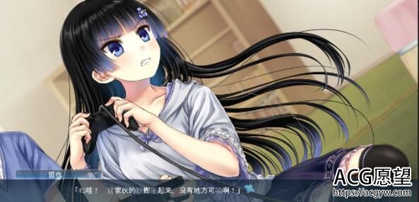 【ADV】菖蒲的城镇与公主精翻汉化版+全CG存档【krkr安卓+PC/1.6G】